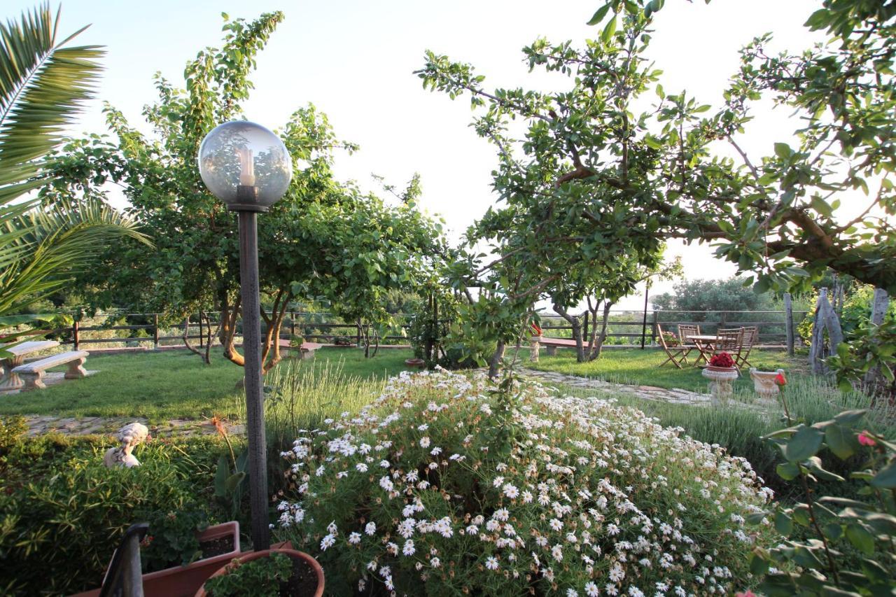 B&B La Sirenetta Diamante Buitenkant foto