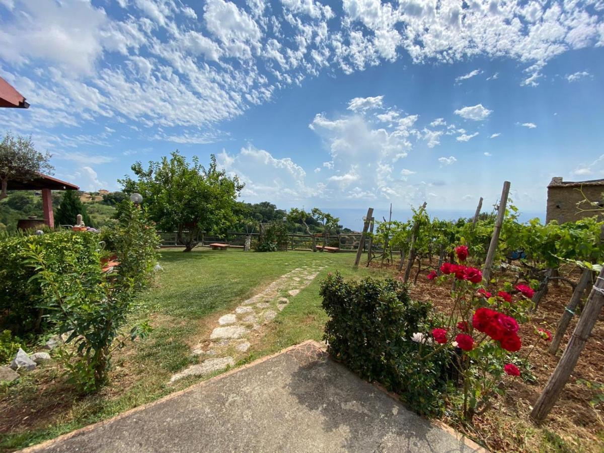 B&B La Sirenetta Diamante Buitenkant foto