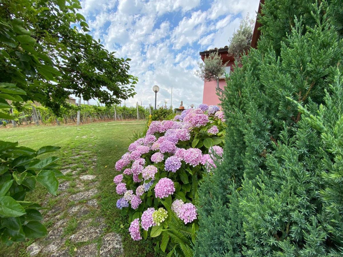 B&B La Sirenetta Diamante Buitenkant foto